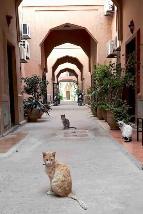Riad Nekhla Marrakesh Exterior foto